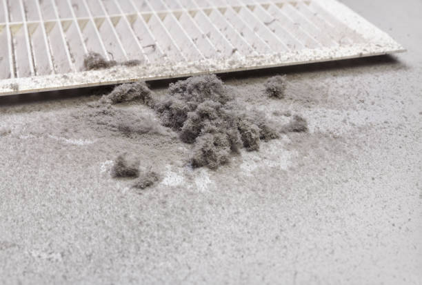 Best Professional Duct Cleaning Services  in Kibler, AR