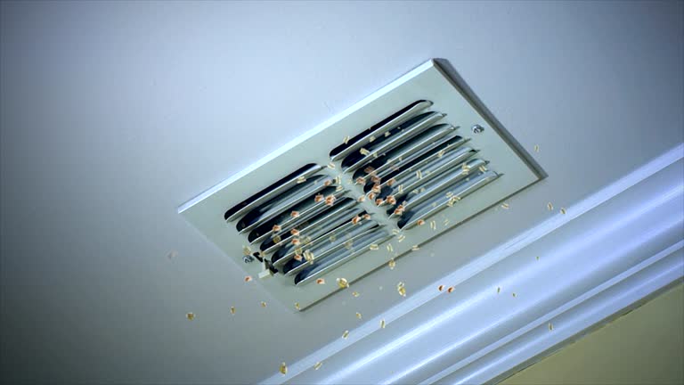 Best Air Duct Mold Removal  in Kibler, AR